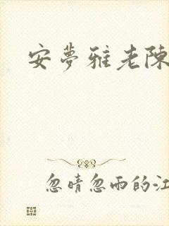 安梦雅老陈