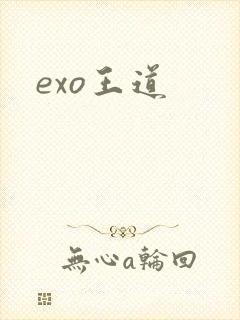 exo王道