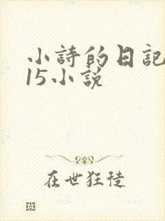 小诗的日记1一15小说