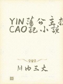 YIN荡公主挨CAO记小说