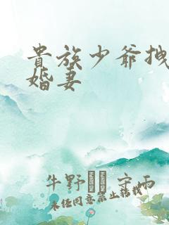 贵族少爷拽拽未婚妻