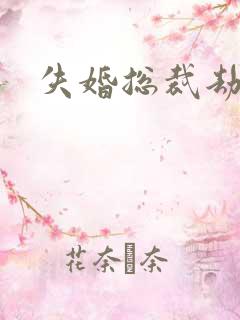 失婚总裁劫前妻