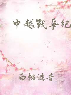 中越战争纪实录