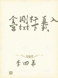 金刚杵直入莲花宫txt下载