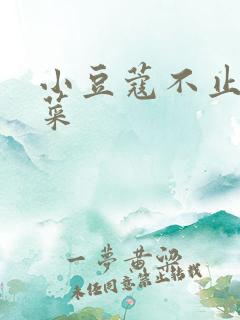 小豆蔻不止是颗菜