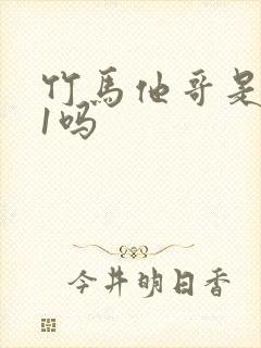 竹马他哥是1v1吗