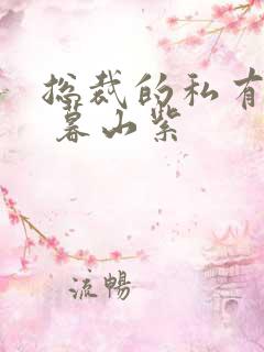 总裁的私有宝贝 暮山紫