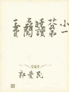 王磊晓芬小说免费阅读第一章