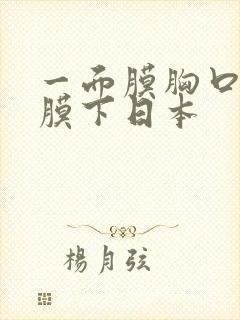 一面膜胸口一面膜下日本