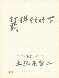打拼4txt下载