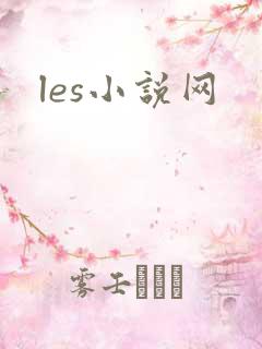 les小说网