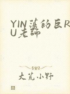YIN荡的巨RU老师