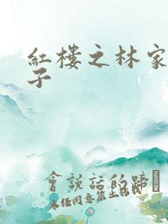 红楼之林家庶长子