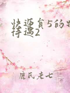 快递员5的特殊待遇2