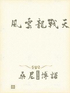 风云龙战天下