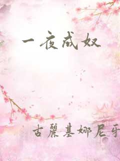 一夜成奴