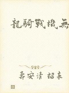 龙骑战机无弹窗