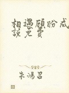 相遇顾盼成欢小说免费