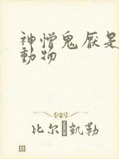 神憎鬼厌是什么动物