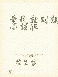 爱我就别想太多小说版