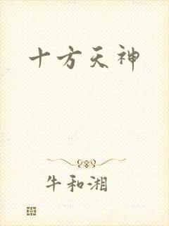 十方天神
