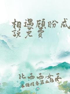 相遇顾盼成欢小说免费