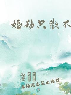 婚劫只欢不爱