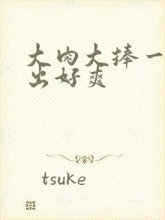 大肉大捧一进一出好爽