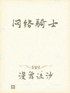 网络骑士