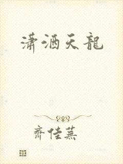 潇洒天龙
