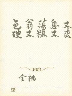 色翁荡息又大又硬又粗又爽