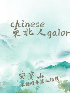 chinese东北人galore