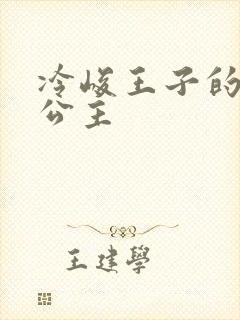 冷峻王子的完美公主