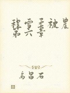 程雪柔被农民工第六章