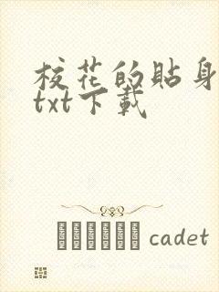 校花的贴身保镖txt下载