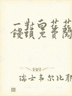 一对白花花的大馒头免费阅读