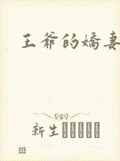 王爷的娇妻