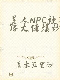 美人NPC被各路大佬爆炒小说