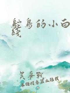 鸵鸟的小白脸路线
