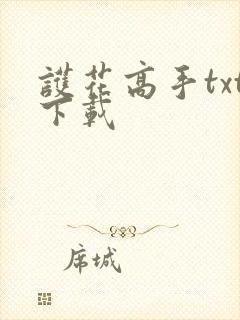 护花高手txt下载