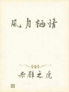 风月栖情