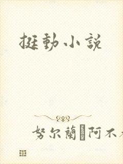 挺动小说