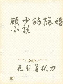 顾少的隐婚罪妻小说