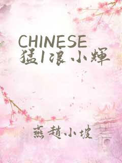 CHINESE猛1浪小辉