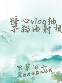 糖心vlog柚子猫内射频