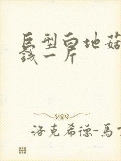 巨型白地菇多少钱一斤