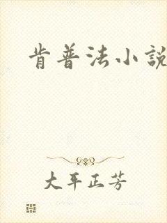 肯普法小说下载