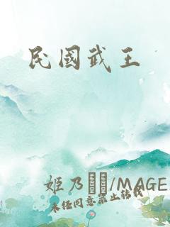 民国武王