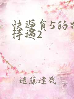 快递员5的特殊待遇2