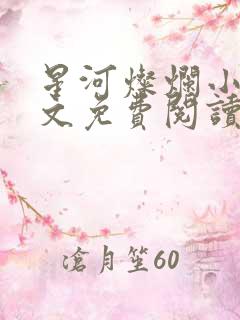 星河灿烂小说全文免费阅读